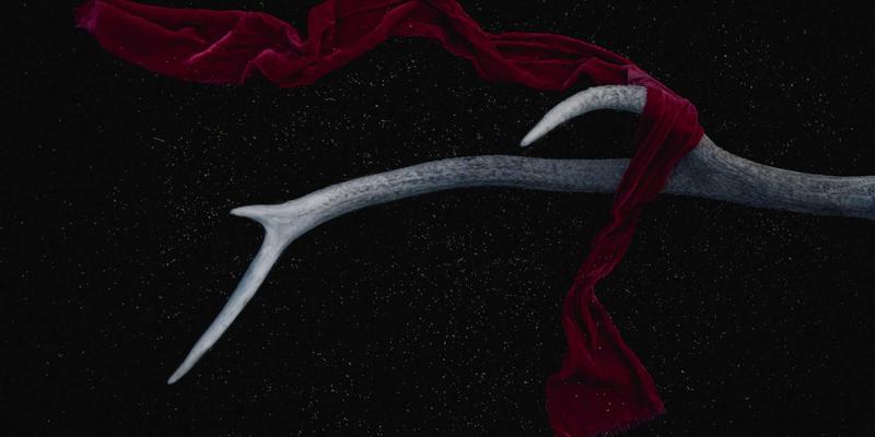 Site is created successfully! – 网站创建成功后的完整指南与最佳实践