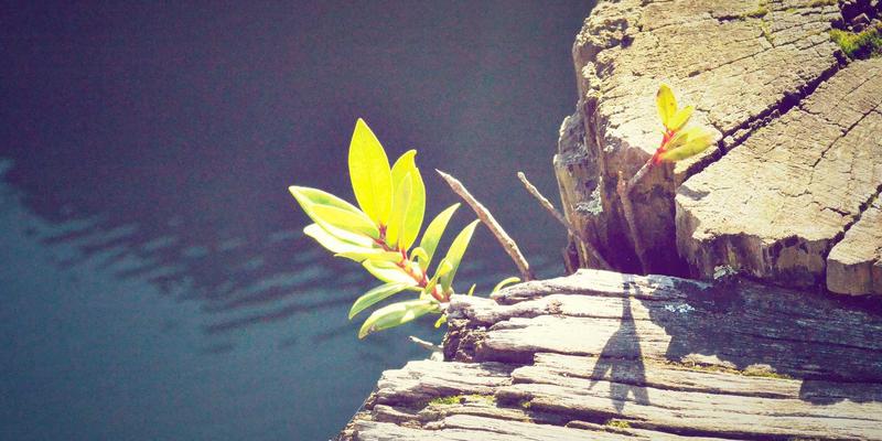 Site is created successfully! 网站创建成功后的关键操作与SEO优化指南